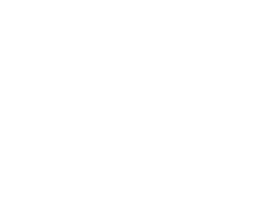 ARENA VERDE
